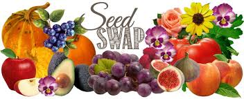 Seed Swap